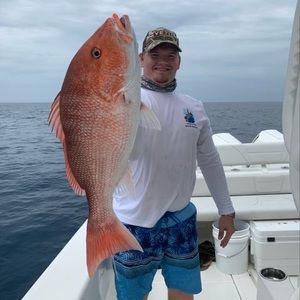 Meet your Posher, Alec